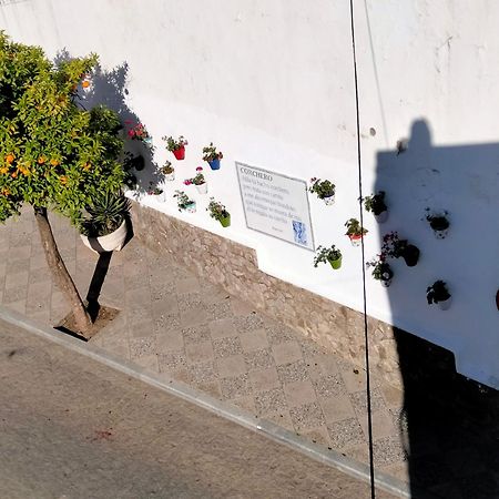 Alcalá de los Gazules Casa Vista 빌라 외부 사진