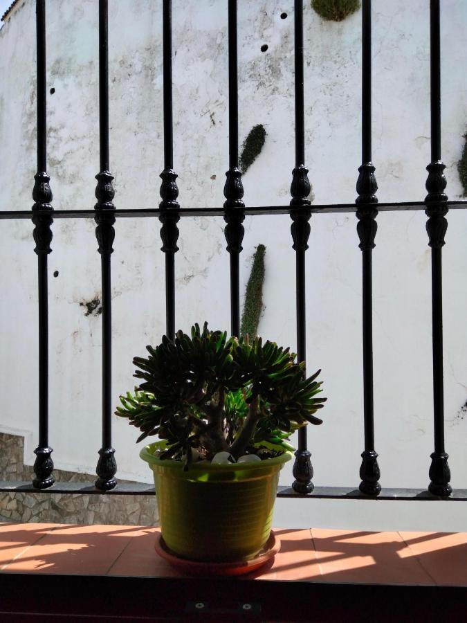Alcalá de los Gazules Casa Vista 빌라 외부 사진