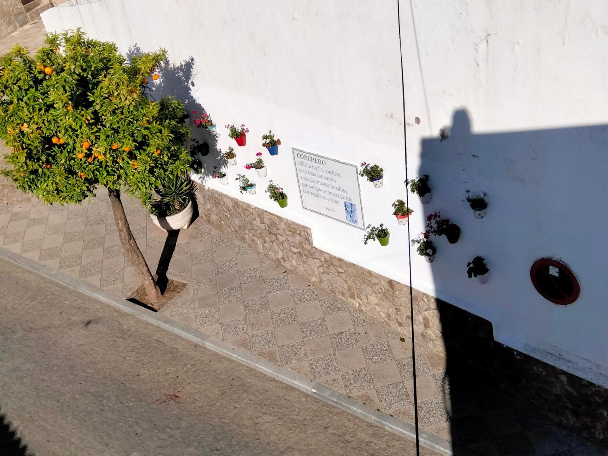 Alcalá de los Gazules Casa Vista 빌라 외부 사진