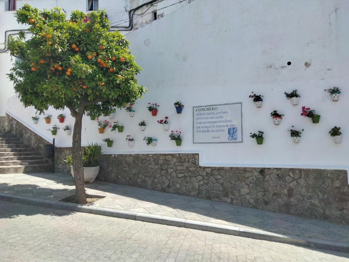 Alcalá de los Gazules Casa Vista 빌라 외부 사진