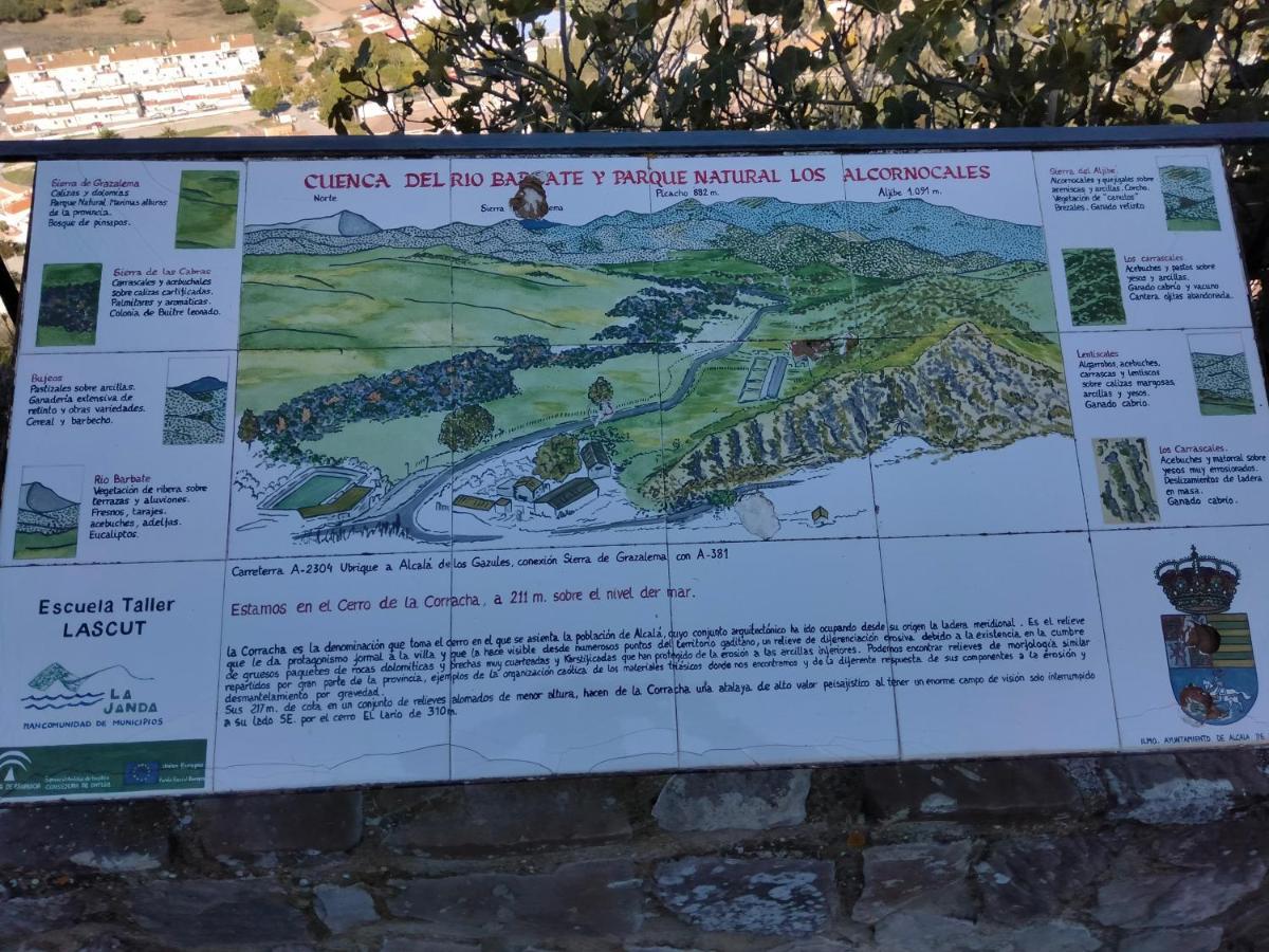 Alcalá de los Gazules Casa Vista 빌라 외부 사진